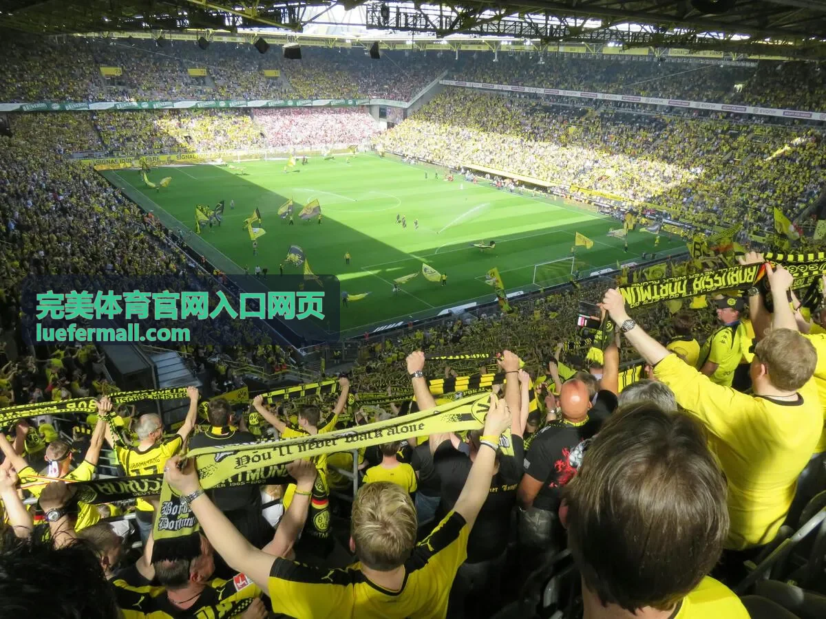 完美体育官网入口网页入口导航页面展示