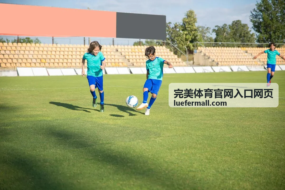 完美体育官网入口网页赛果统计口径说明